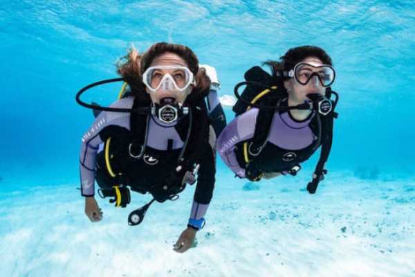 Back office - PADI - Advanced Open Water Diver Course - Dives 1-5