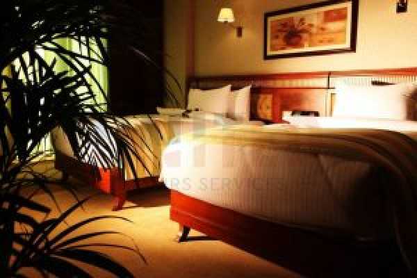 Top 5 Days At Helnan Landmark With The Best Tours In Cairo And Alexandria 