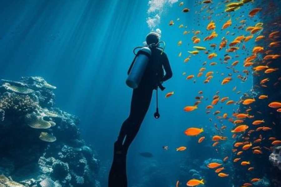 Bastet Travel Egypt All Inclusive Hurghada Vacations