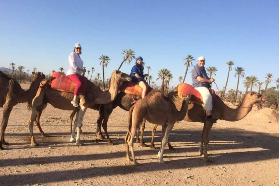 Bastet Travel Egypt Aqaba to Wadi Rum Tour