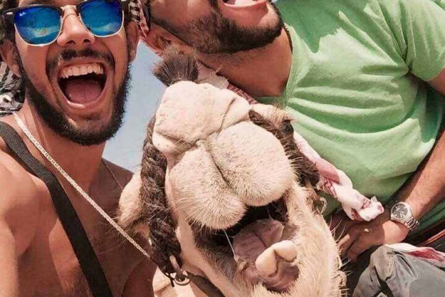 Bastet Travel Egypt Aqaba to Wadi Rum Tour