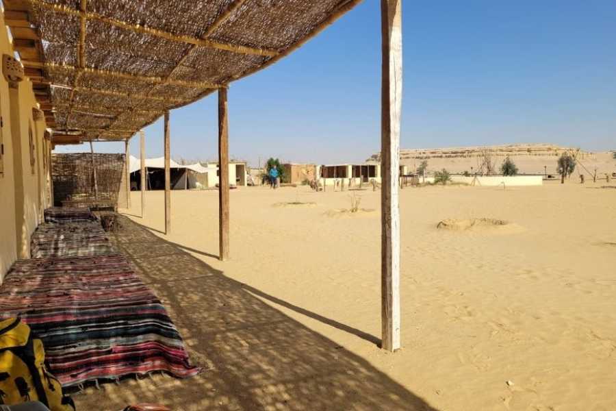 Egypt Tour packages 4 Day Trip to Cairo and the desert