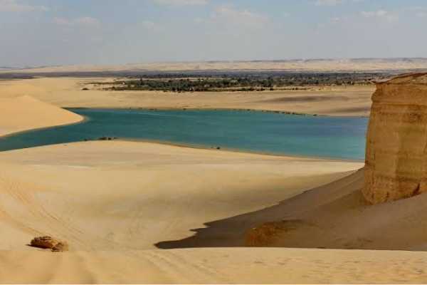 3 Days trip wadi el Hitan and Fayoum Oasis from Cairo