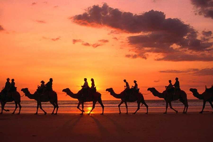 Bastet Travel Egypt One Day Bahariya Oasis Tour from Cairo