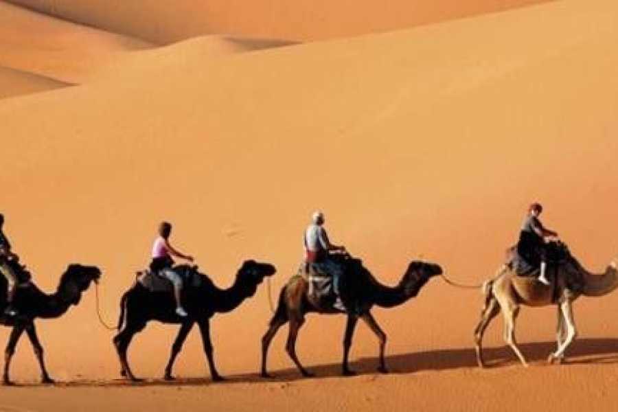 Bastet Travel Egypt One Day Bahariya Oasis Tour from Cairo