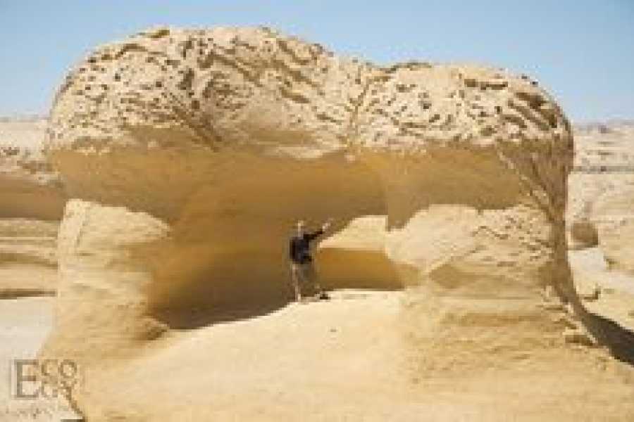 Bastet Travel Egypt Wadi Hitan ( Whale Valley ) Fayoum Tour from Cairo