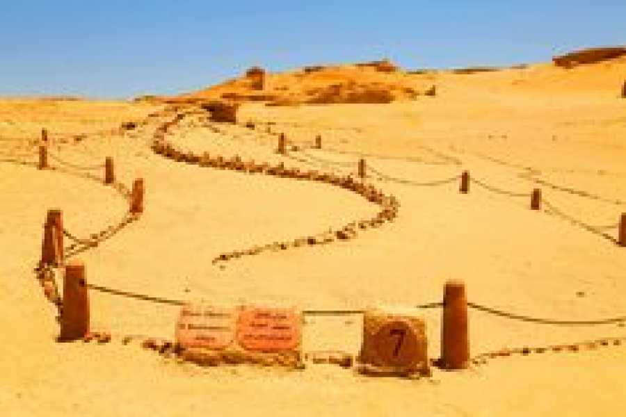 Bastet Travel Egypt Wadi Hitan ( Whale Valley ) Fayoum Tour from Cairo