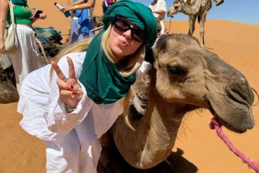 Bastet Travel Egypt 12-Day Cairo, Nile Cruise And Red Sea Stay