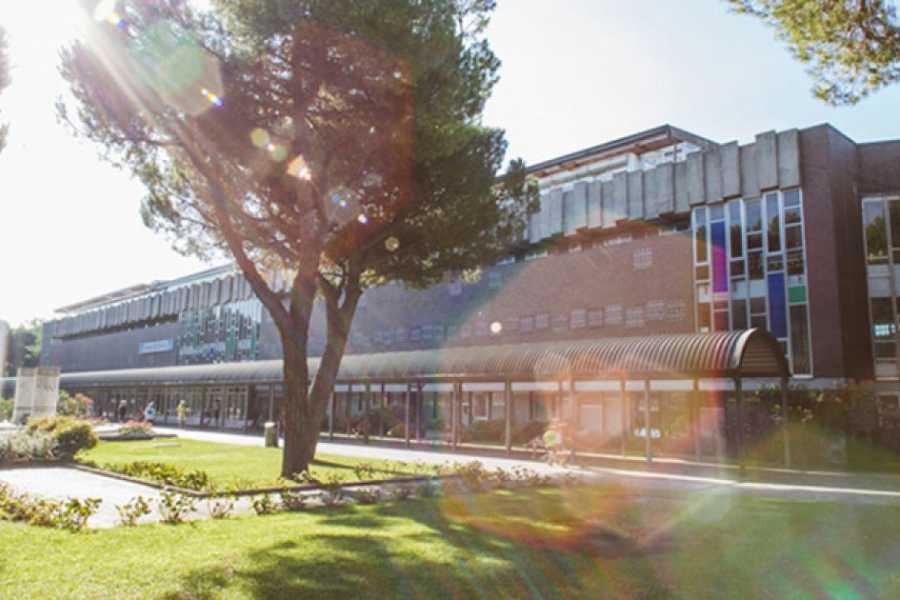 Discover Cervia (ERW) Cervia Thermal Baths - Perfumed scrub massage