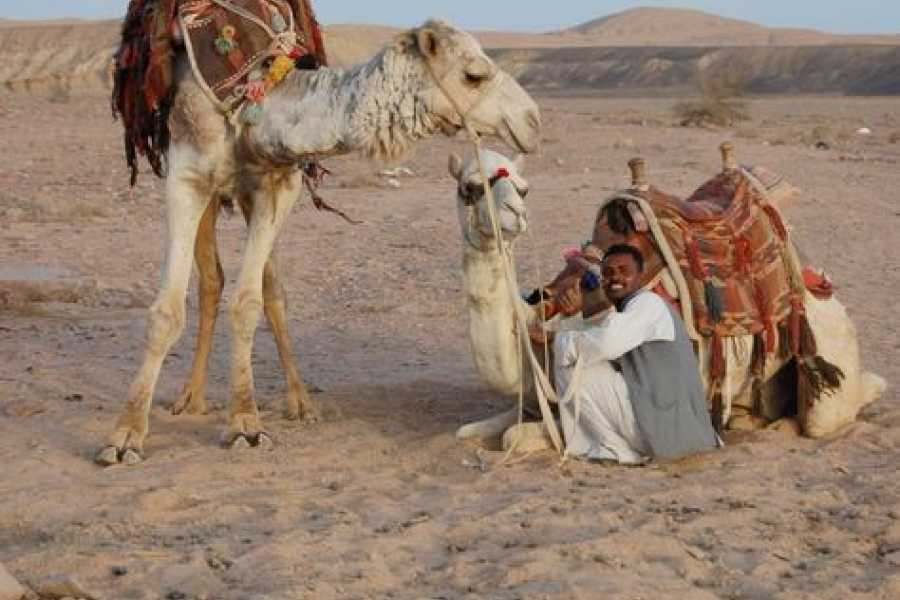 Bastet Travel Egypt special two days tour to luxor from marsa alam