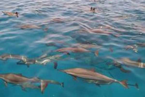 3 Day Trip to Luxor from Marsa Alam