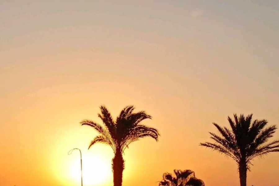 Bastet Travel Egypt Two Day Cairo Excursions From Marsa Alam By Flight