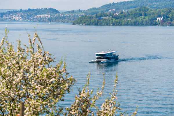 B&uuml;rgenstock Excursion by Boat and Funicular