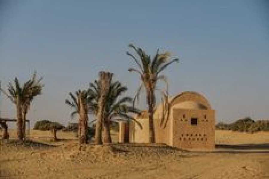 Bastet Travel Egypt 2 Day trip Fayoum oasis and Wadi el Hitan from Hurghada