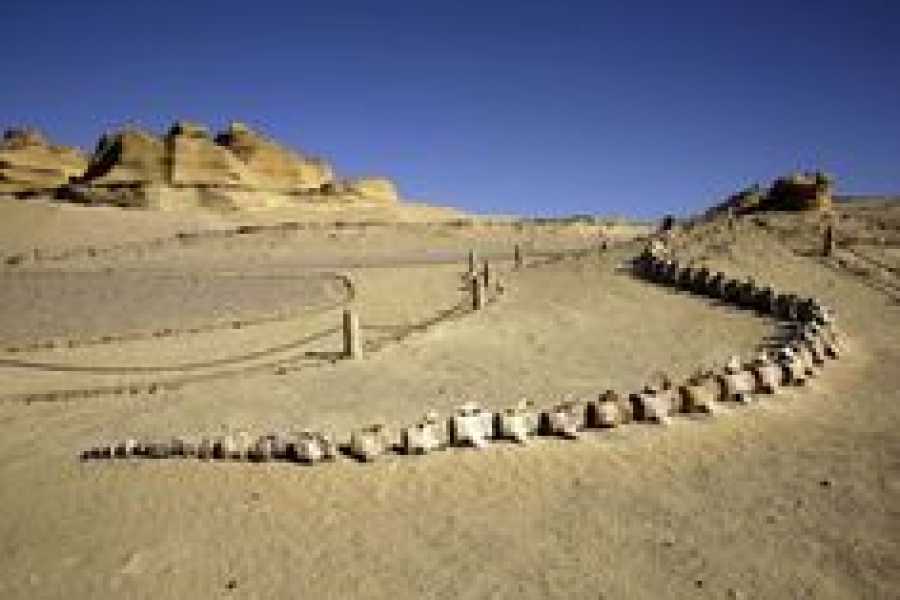 Bastet Travel Egypt Wadi Al Hitan valley of whales day Trip from Cairo