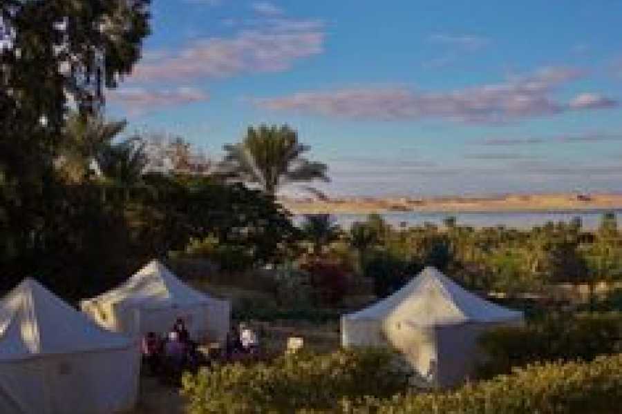 Bastet Travel Egypt 2 Day Camping trip from Fayoum