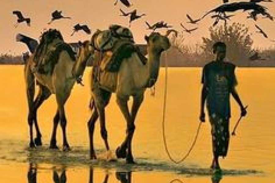 Bastet Travel Egypt Came Ride Adventure In Luxor