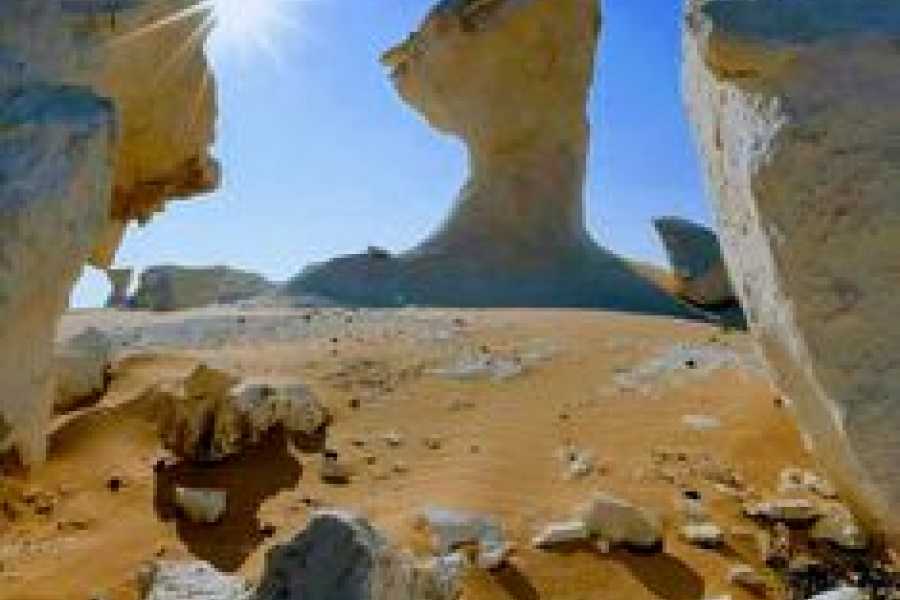 Bastet Travel Egypt White Desert One Day Safari Tour From Cairo