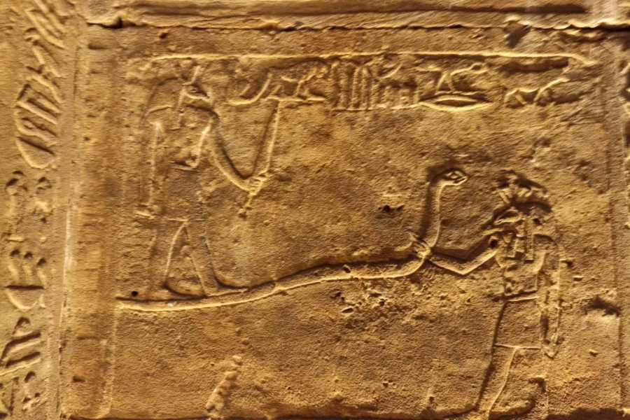 Bastet Travel Egypt 7 days Egypt tour Package to Cairo, Alexandia, Nile Cruise and Abu simbel