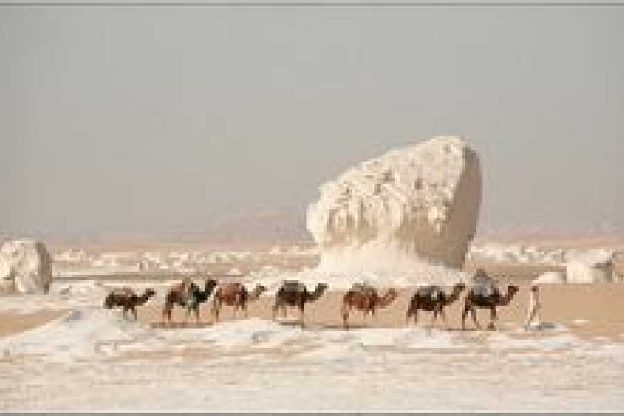 Bastet Travel Egypt 3-Day Cairo Pyramids & White Desert Tour From Hurghada