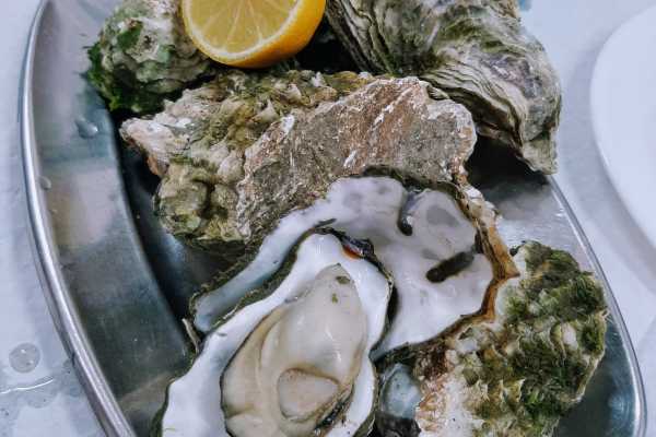 *ST* Ria Formosa Supreme