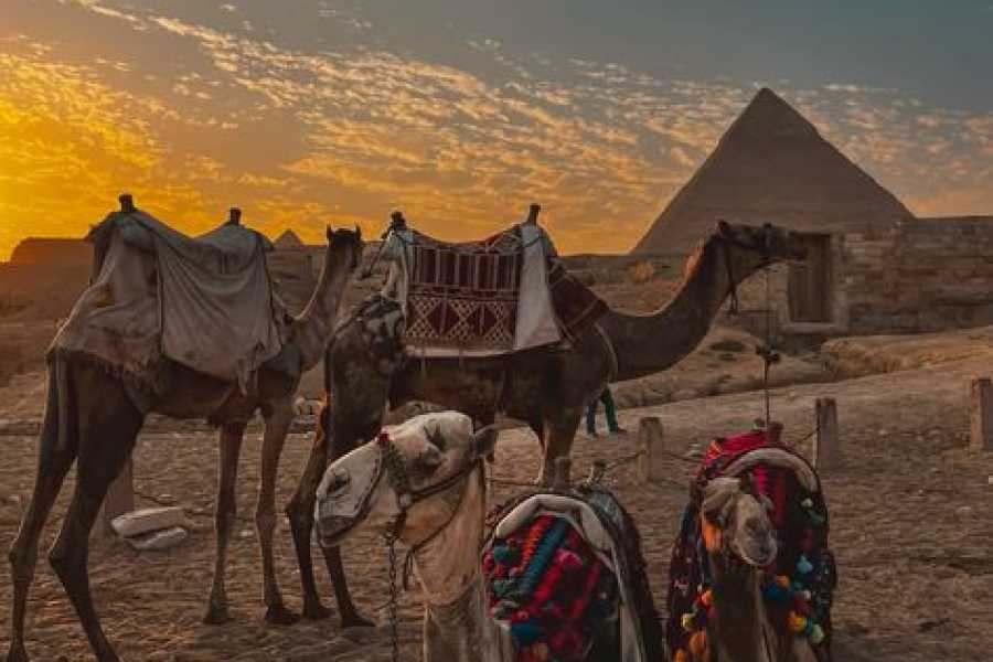 Bastet Travel Egypt Welfare Luxury 12 Days Egypt Trip 2024/2025