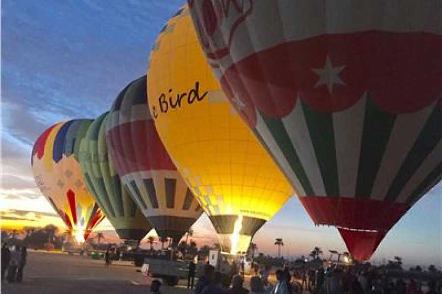 Bastet Travel Egypt 7 days Egypt tour to Cairo, Alexandia, Nile Cruise and Abu simbel