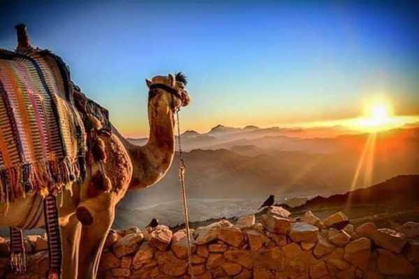 Luxury Egypt 4 Days Trips Cairo and Alexandria From Australia 2024/2025