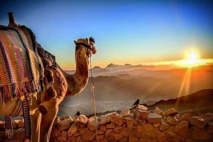 Bastet Travel Egypt Luxury Egypt 4 Days Trips Cairo and Alexandria From Australia 2024/2025