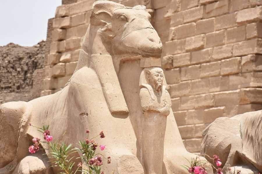 Egypt Tour packages 4 Days Luxor and Aswan Tour Package
