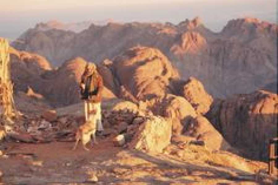 Bastet Travel Egypt Family Luxurious Tour to Cairo and Sharm El Sheikh 10 days 2024/2025