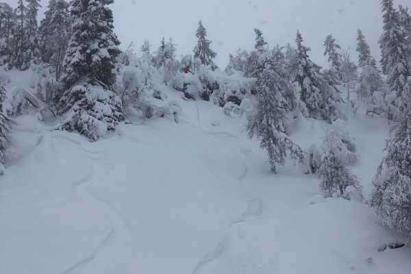 N&aelig;rturer med privat guide| Splitboard & Randonee
