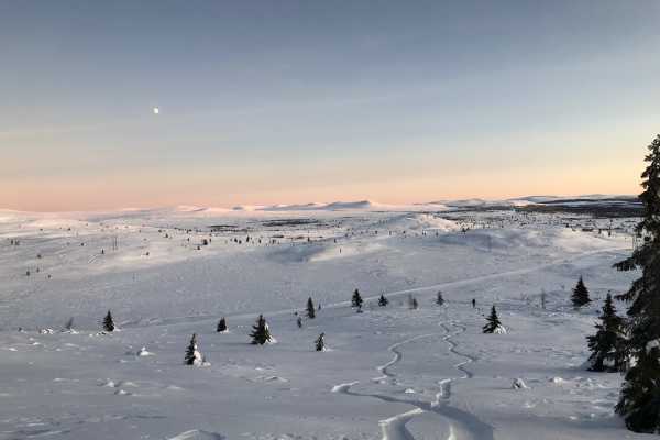 N&aelig;rturer med privat guide| Splitboard & Randonee