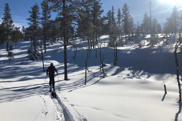 N&aelig;rturer med privat guide| Splitboard & Randonee