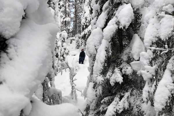 N&aelig;rturer med privat guide| Splitboard & Randonee