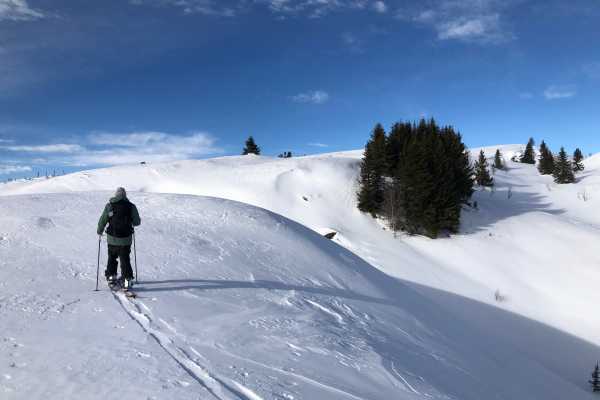 N&aelig;rturer med privat guide| Splitboard & Randonee