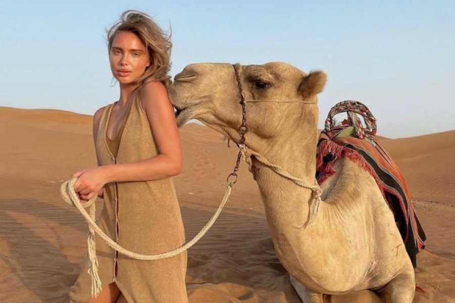 Bastet Travel Egypt 5 Day Luxury Cairo & Hurghada Tour Package