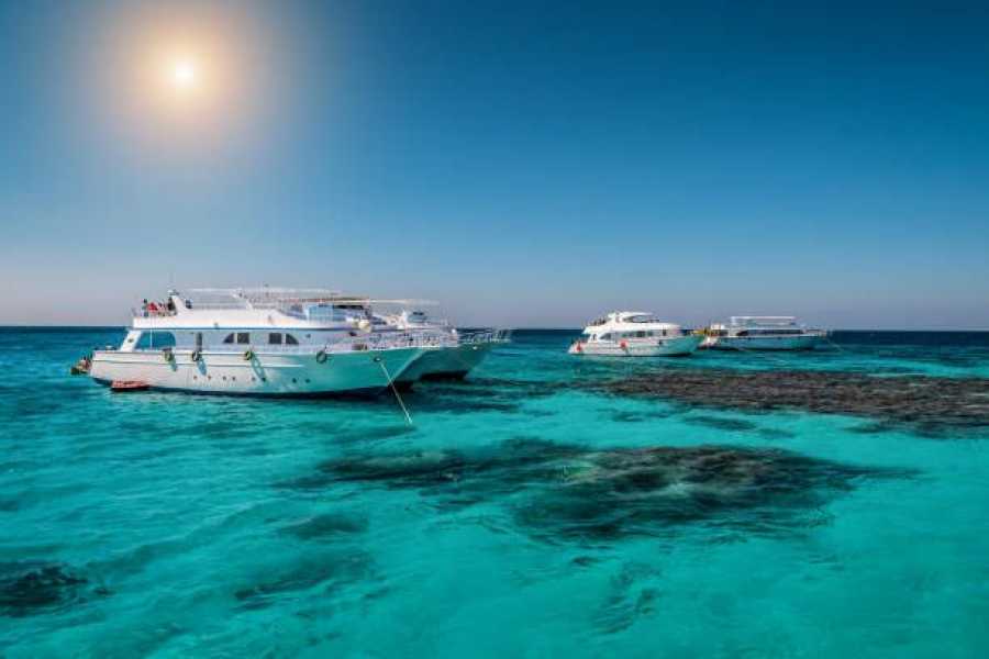 Bastet Travel Egypt 5 Day Egypt Luxury Travel Package To Cairo & Sharm El-Sheikh