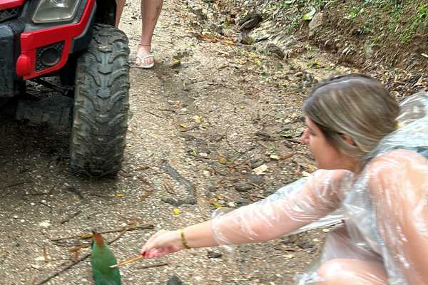 Margaridas Route ATV Tour