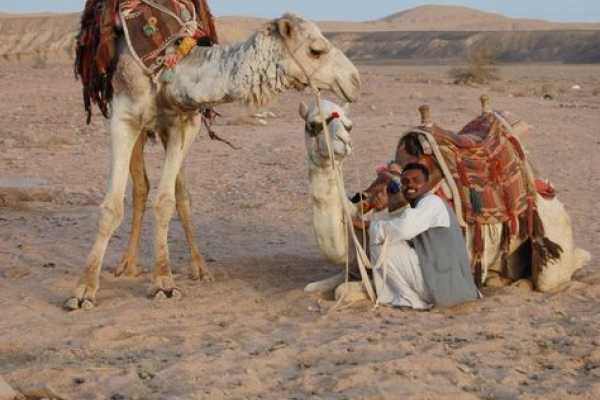 6 Day Egypt Spiritual Tour: Coptic Cairo & Moses Mount