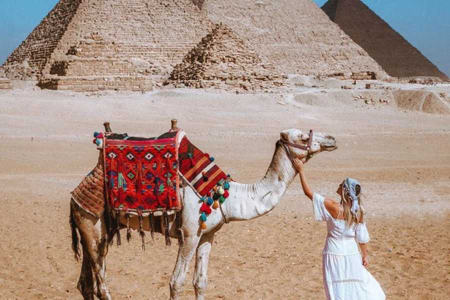 Bastet Travel Egypt 6 Day Women&rsquo;s Egypt Tour in Cairo, Luxor & Aswan