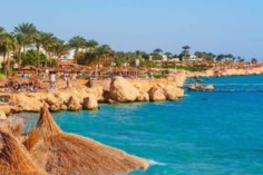 Bastet Travel Egypt 4 Day Egypt Itinerary To Cairo & Hurghada