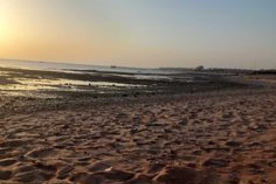 Bastet Travel Egypt 2-Day Tour Of Cairo & Alexandria From Port Ain El-Sokhna