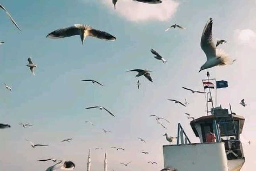 Bastet Travel Egypt Cairo and Alexandria overnight Tours from Port Said