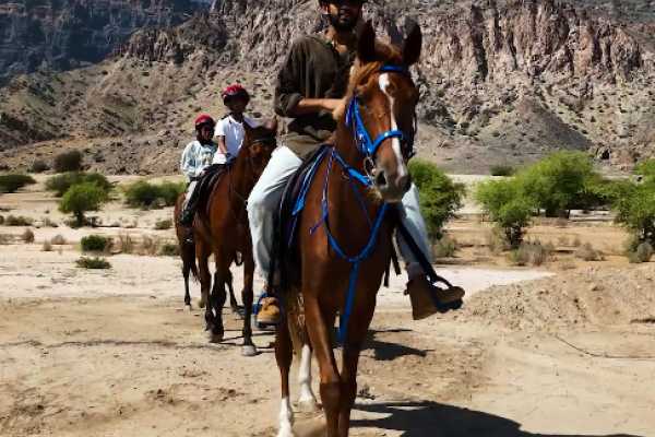 Horse Riding