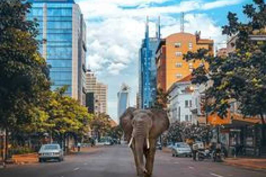 Bastet Travel Egypt Egypt & Kenya Tour
