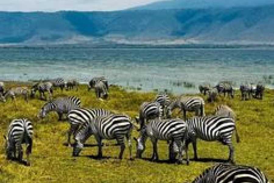 Bastet Travel Egypt Egypt & Kenya Tour