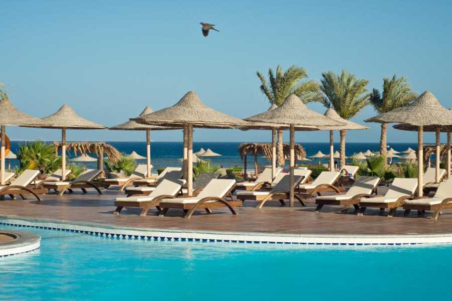 Marsa alam tours 23 Day Egypt Itinerary