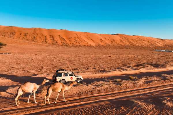 Eid Destination: Sunrise