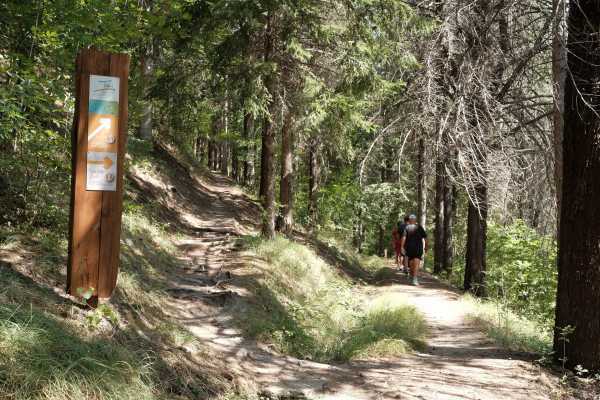 Proposta Natura Attiva in Valle Savio